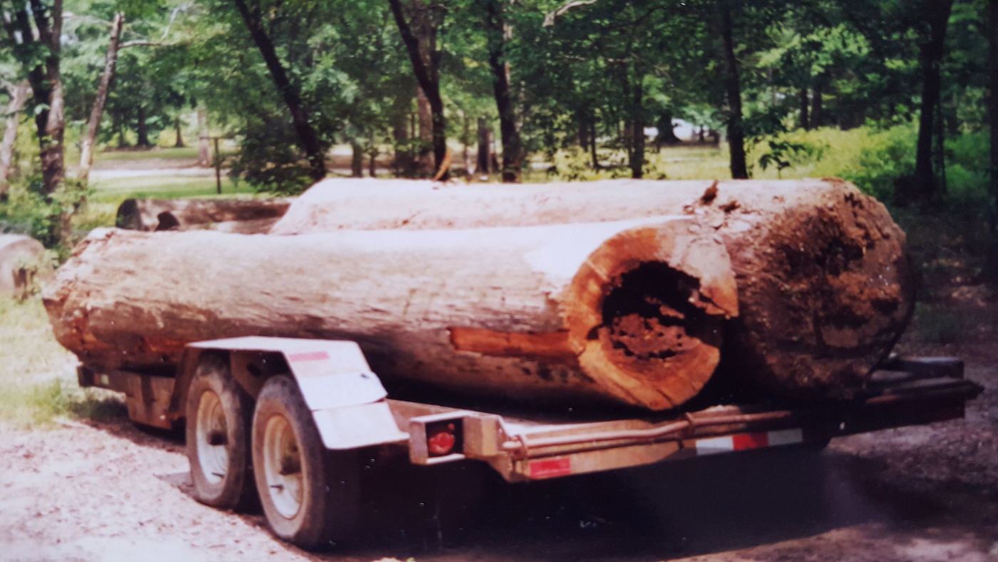 Sinker cypress logs originally 80 feet long