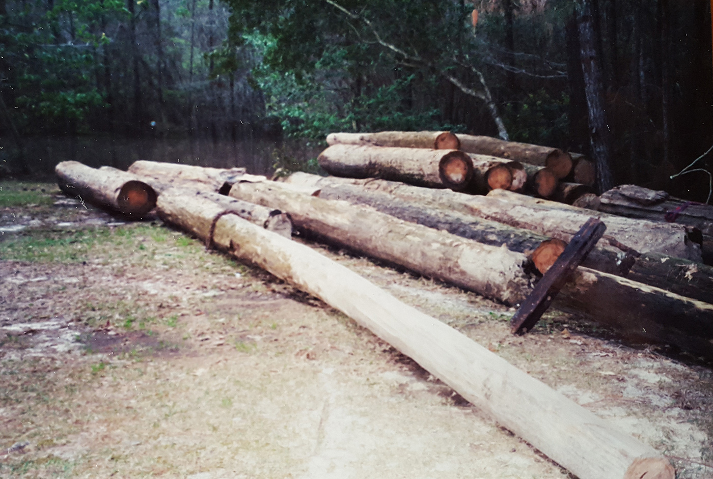 Logs on bank